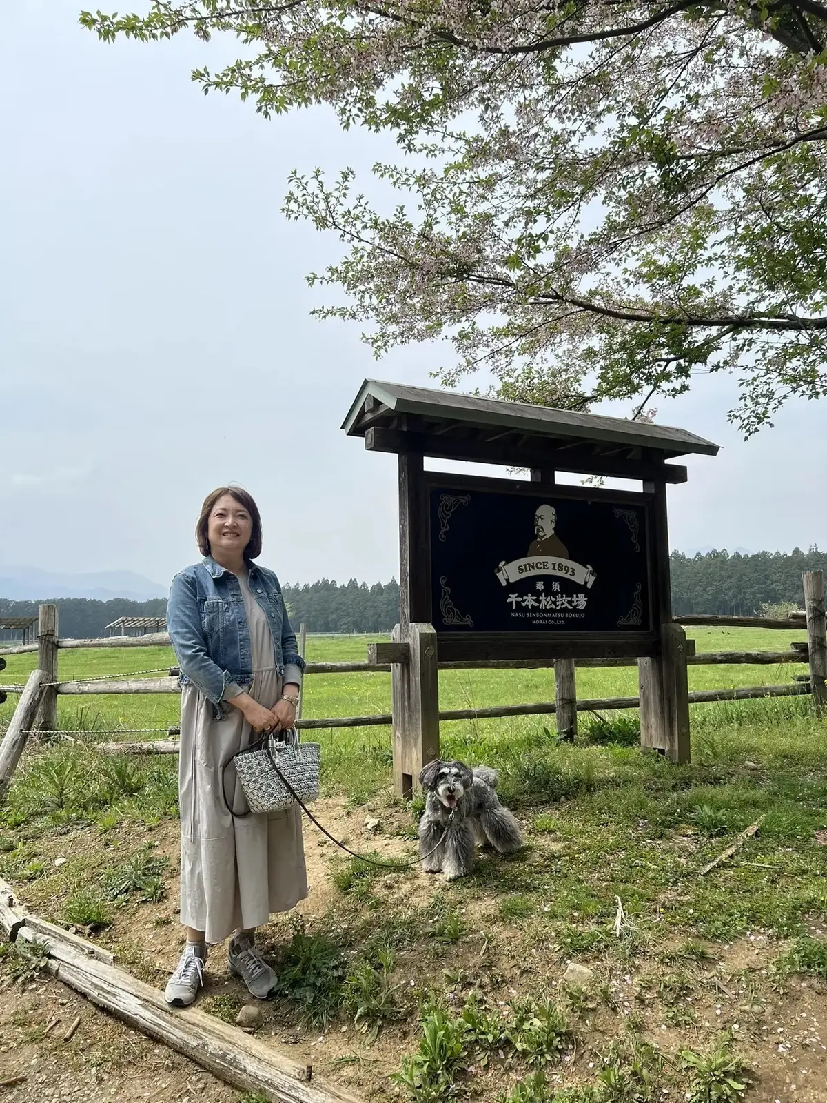 ZARA デニムジャケット愛用　エクラ華組 梅澤千佳子さん