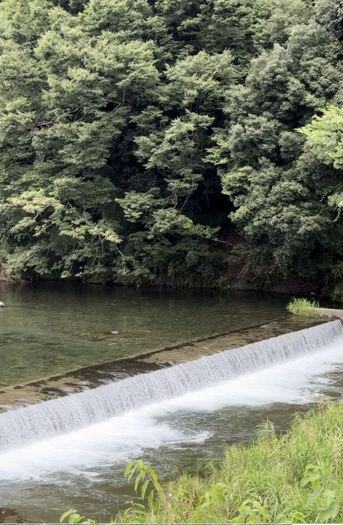 絶景の中で頂く絶品パフェ！　の画像_7