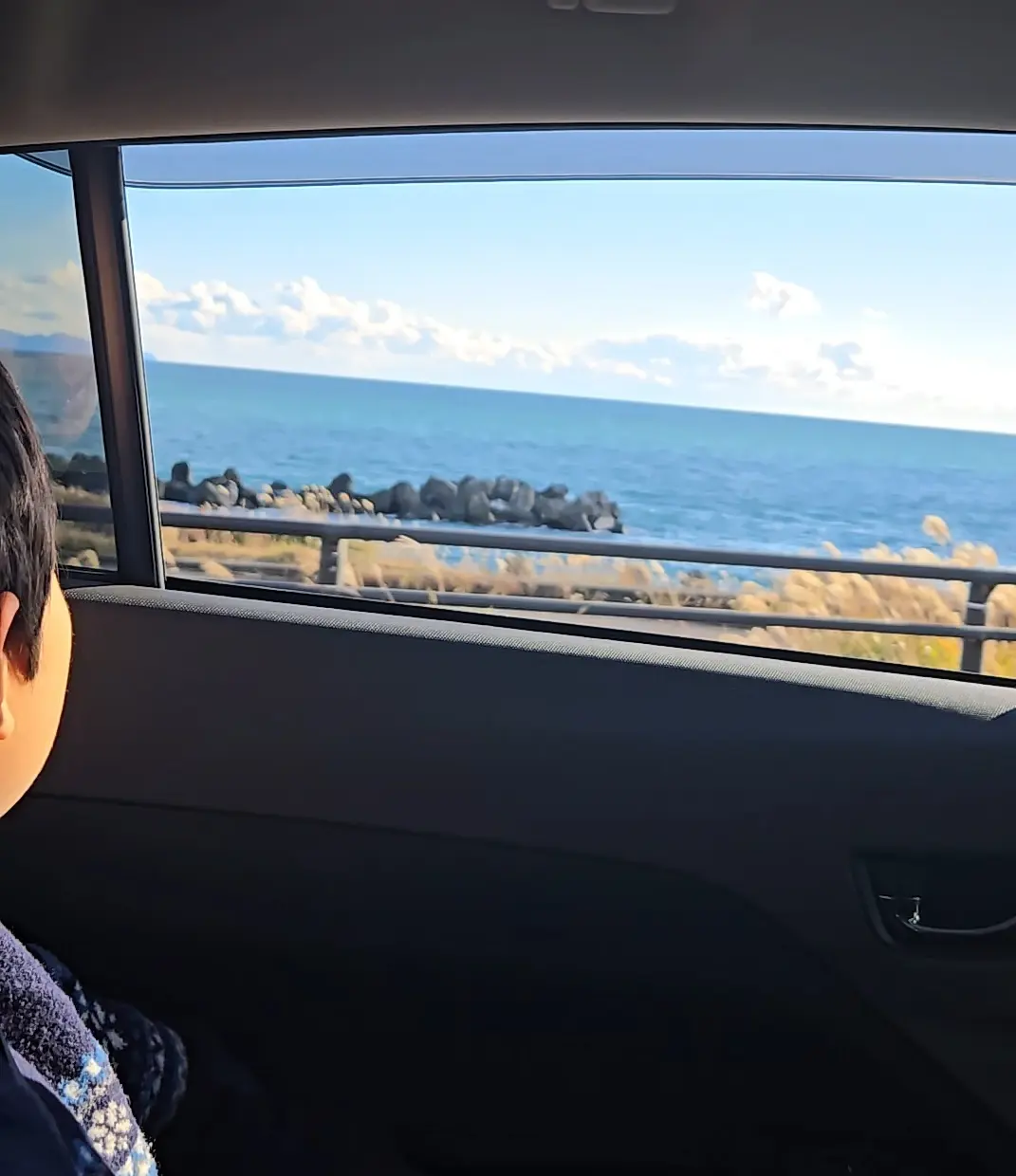 静岡といえば、富士山と○○○○の画像_15