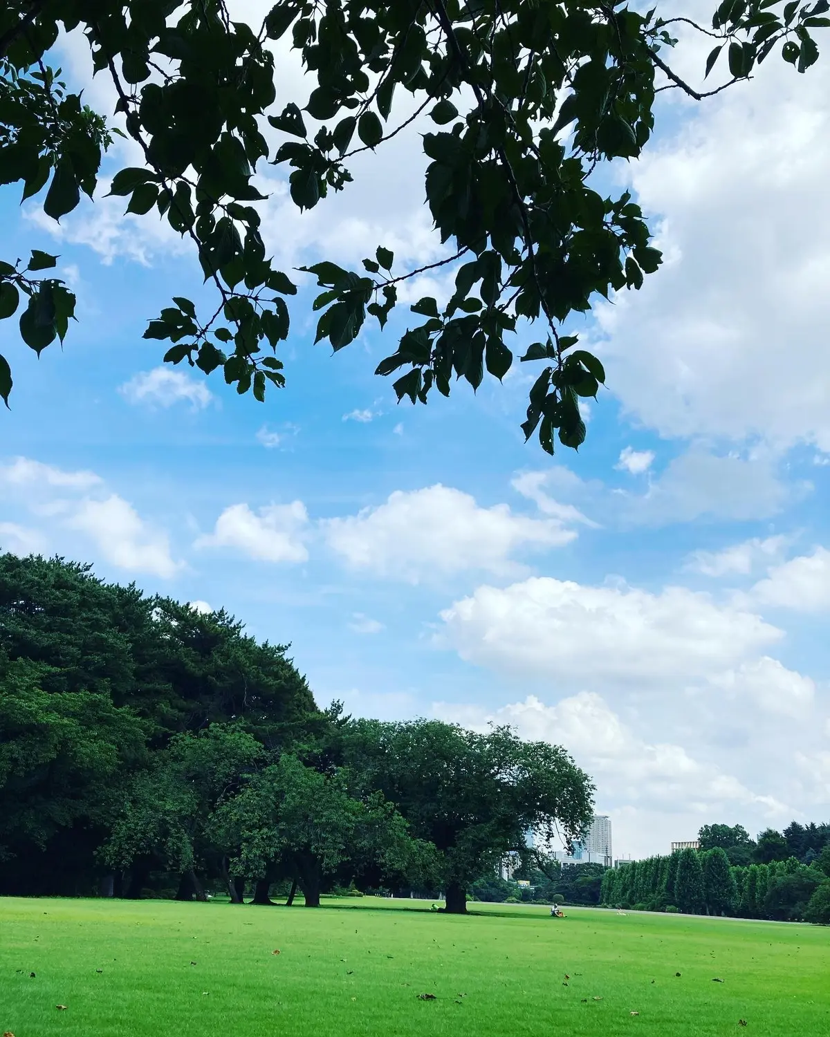 都内屈指のパワースポット！新宿御苑でリフの画像_2