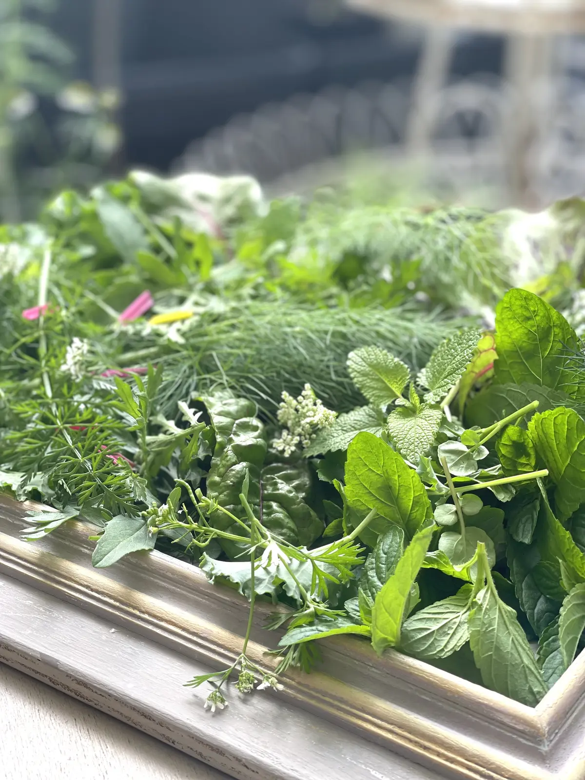 ハーブのある暮らし・・NO HERB Nの画像_19