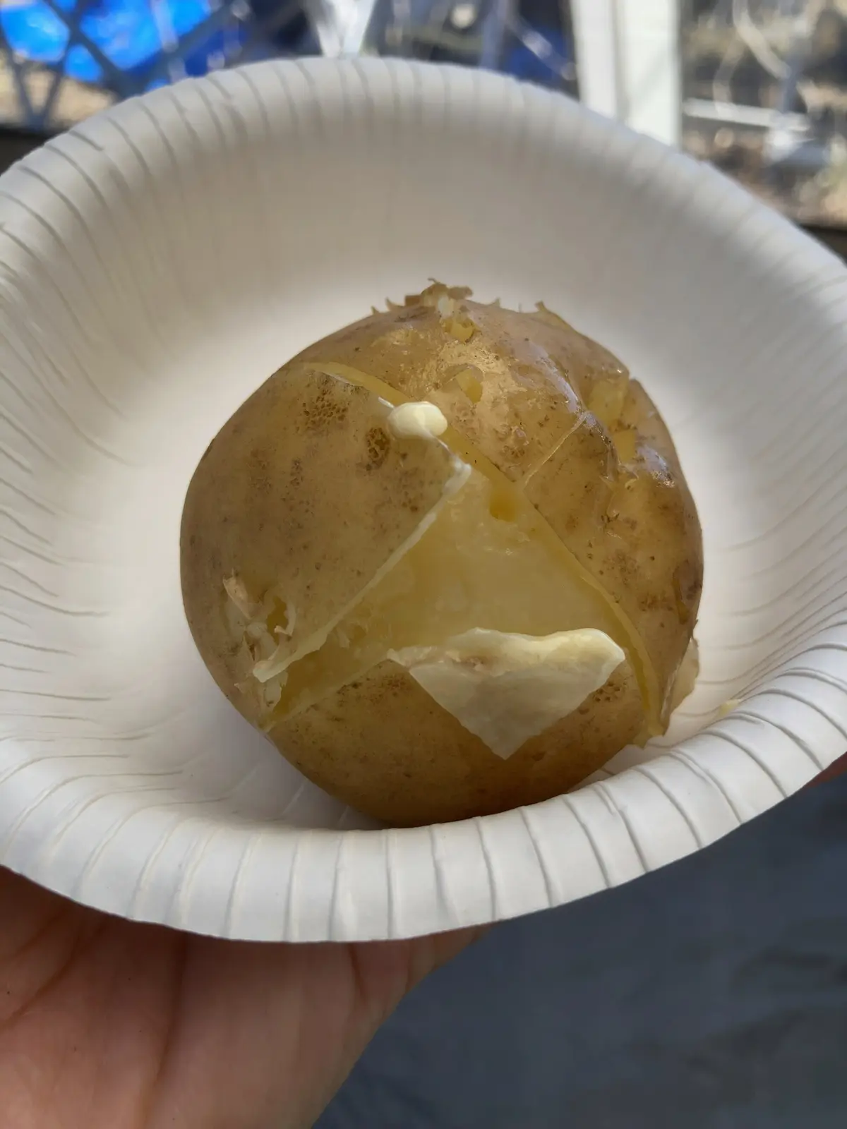 週末は家族でキャンプ　のんびりゆっくり時の画像_6