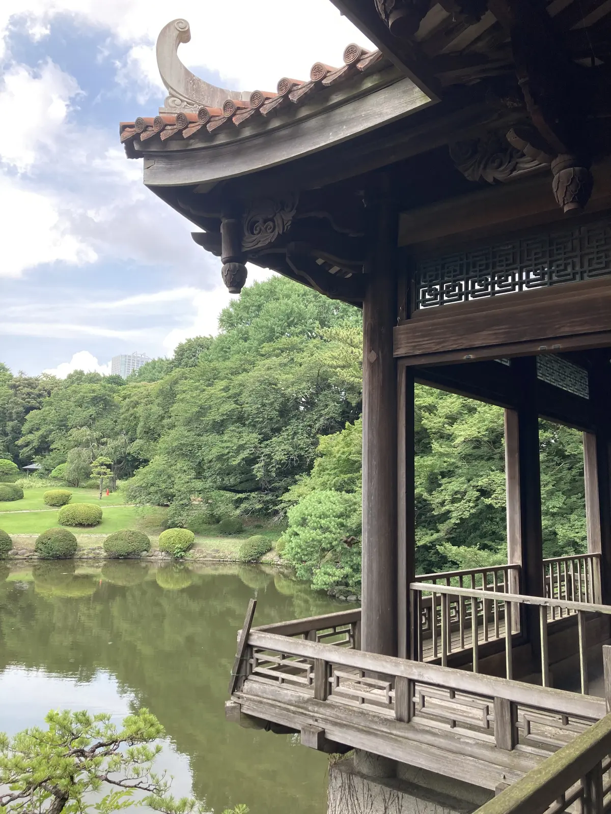 都内屈指のパワースポット！新宿御苑でリフの画像_4