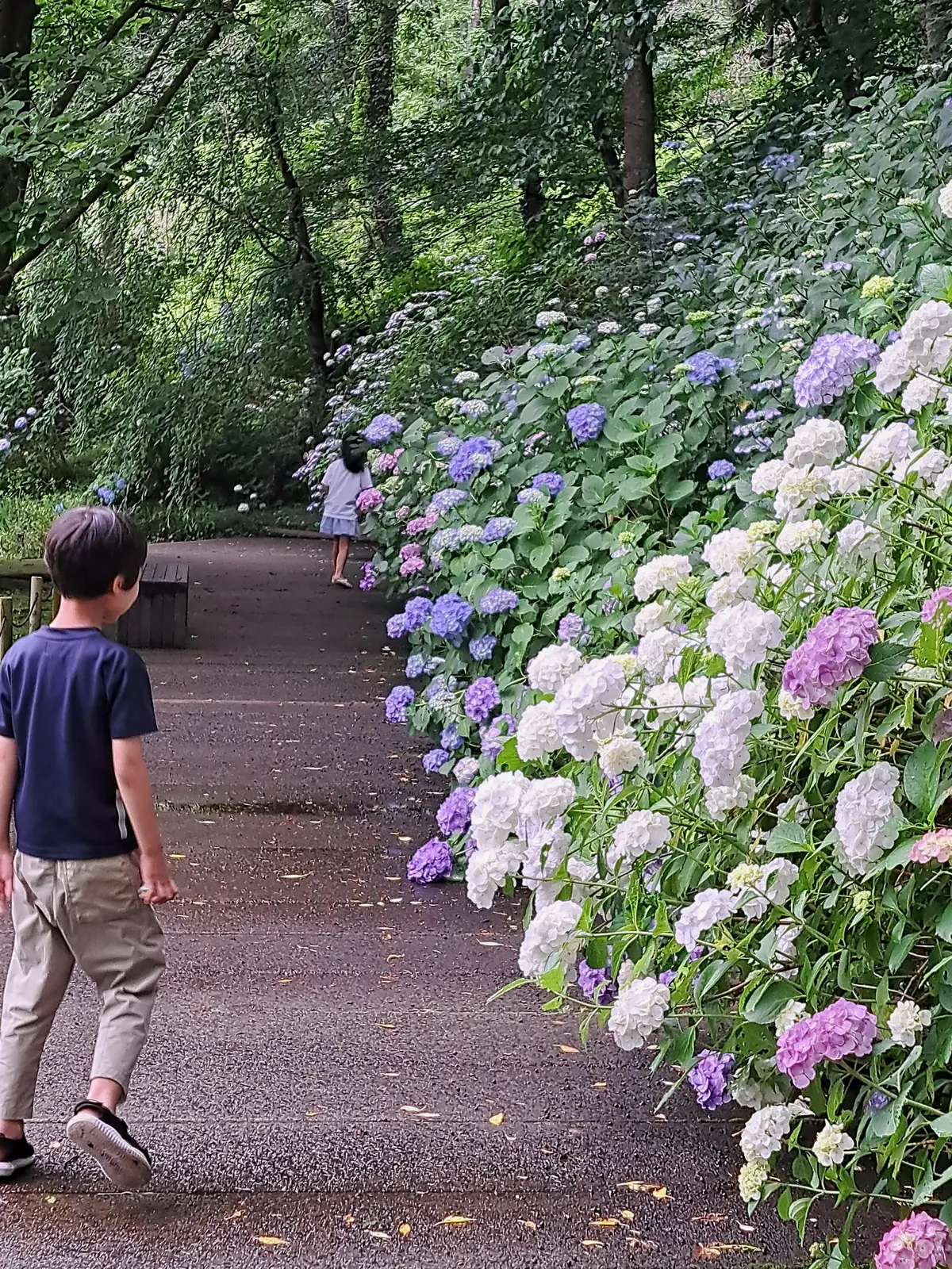私にとって唯一無二の場所 DIC川村記念の画像_14