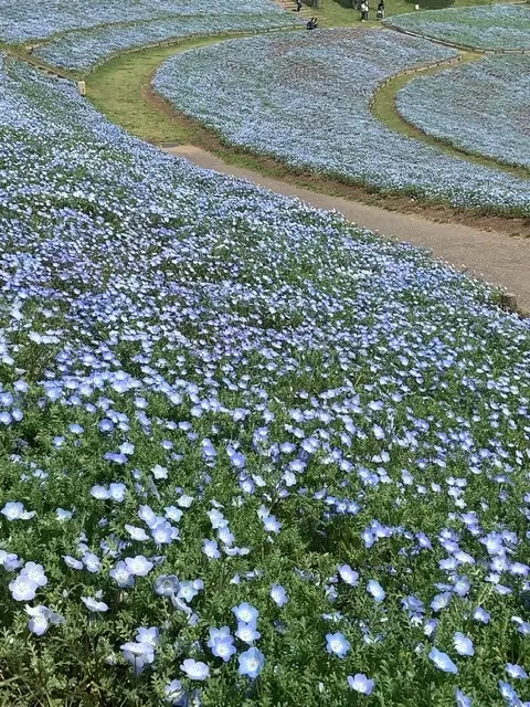 愛犬との旅行の画像_11