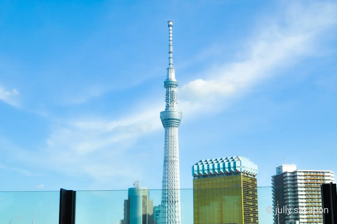 【さかぽんの冒険】東京観光名所 雷門でひの画像_11