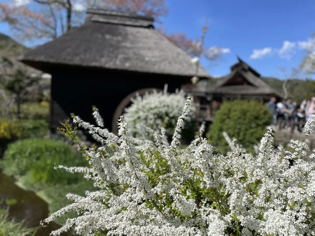 山中湖アラフィー女子旅♡感動の忍野八海編の画像_4