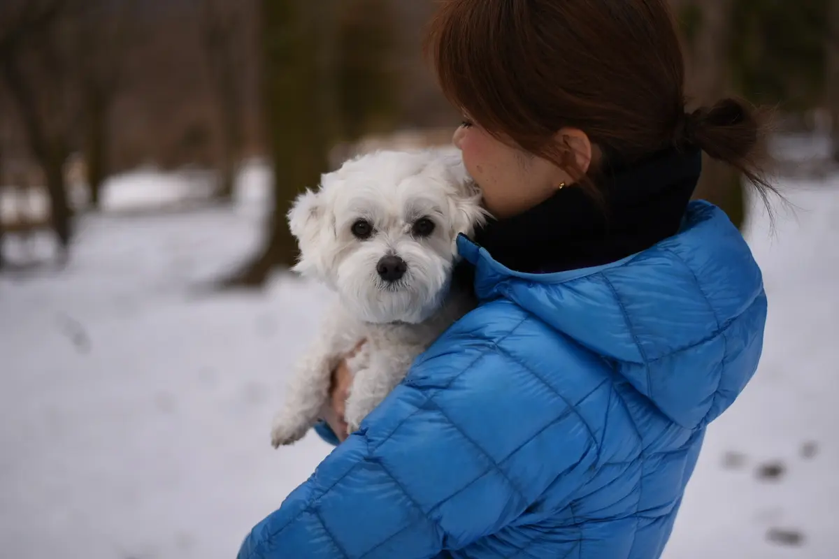 ヘルシー簡単美味な蒸篭に夢中🎵の画像_13