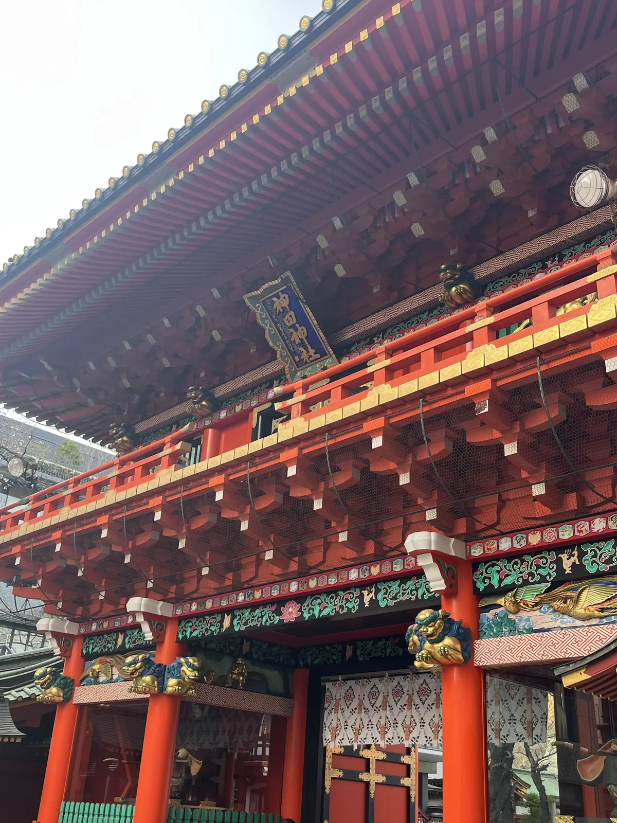 Jマダムと春のお出かけの画像_16