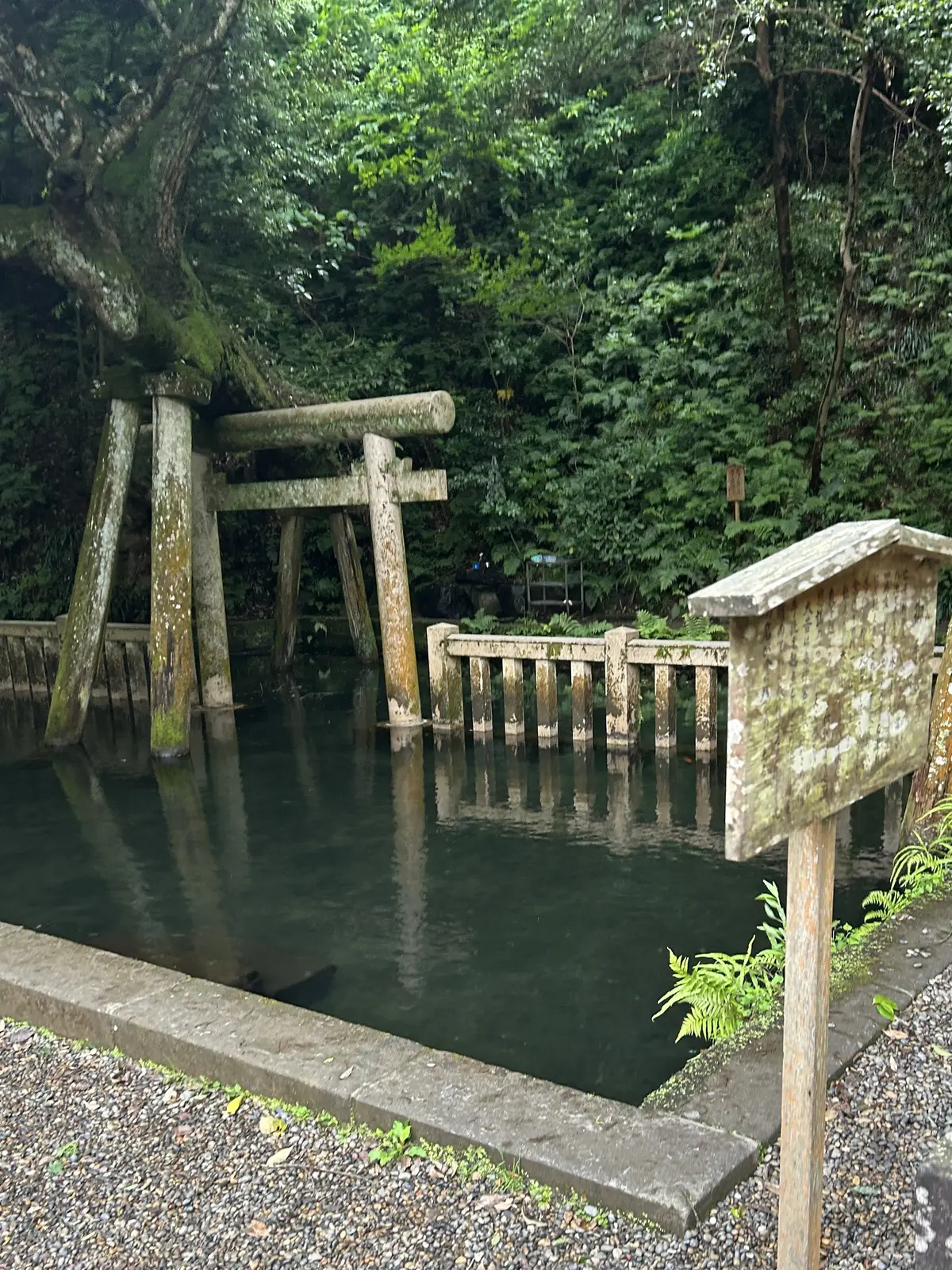 50代からの新しい旅　東京から日帰りで名の画像_6