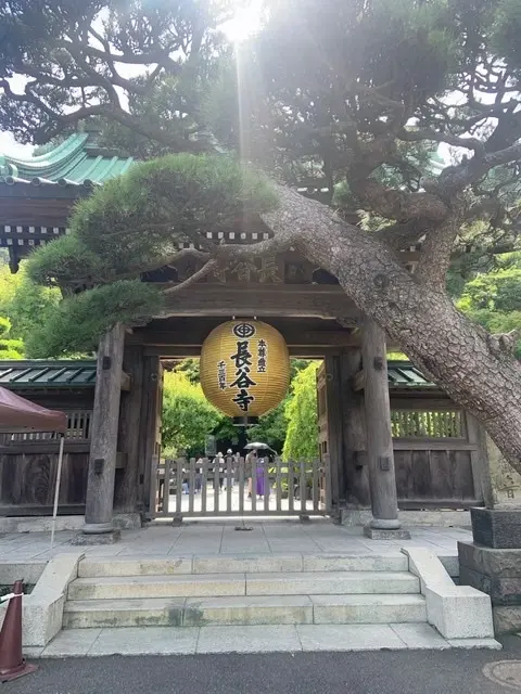 初夏のオトナの鎌倉散歩の画像_4