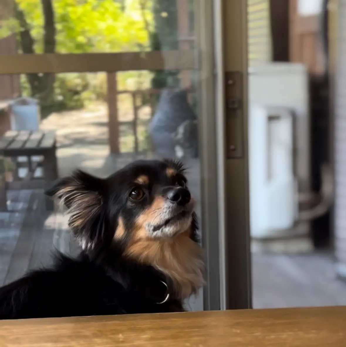 【秋の那須旅行②】カフェの聖地で心温まるの画像_9