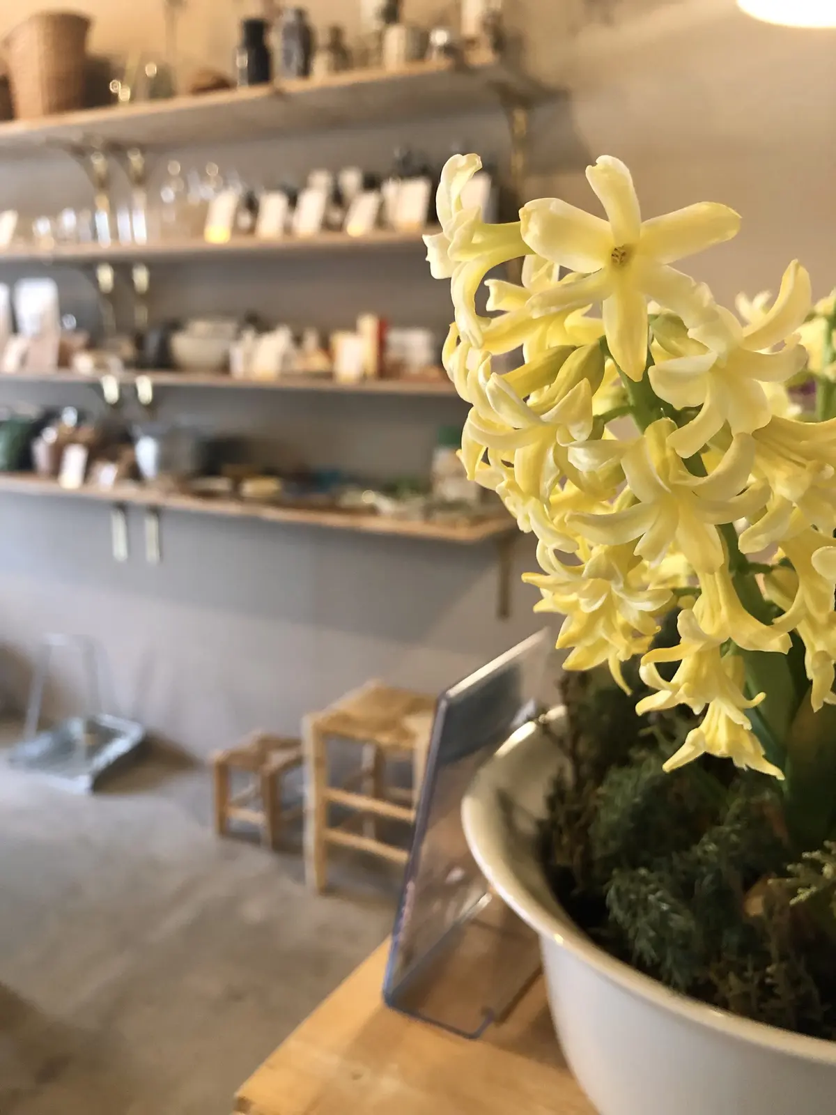 スプリング・クリーニングで春を迎えよう！の画像_8