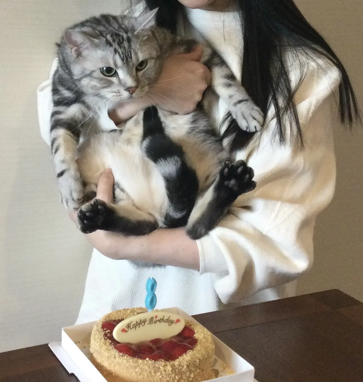 抱っこが嫌いなアラン