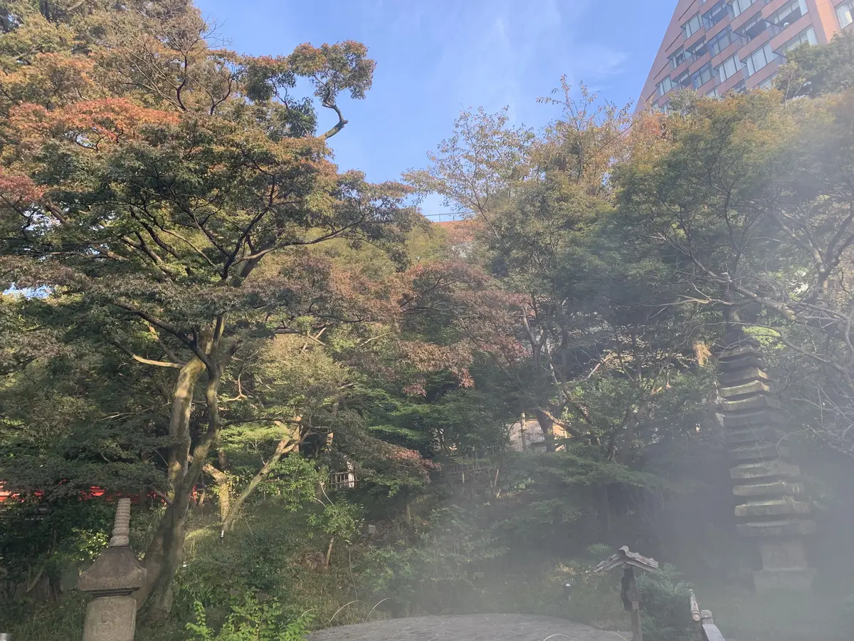 神楽坂から目白へ ホテル椿山荘東京の雲海の画像_16