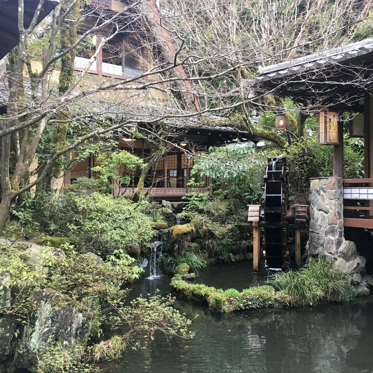 うかい亭　鳥山さんの離れにいるような客室