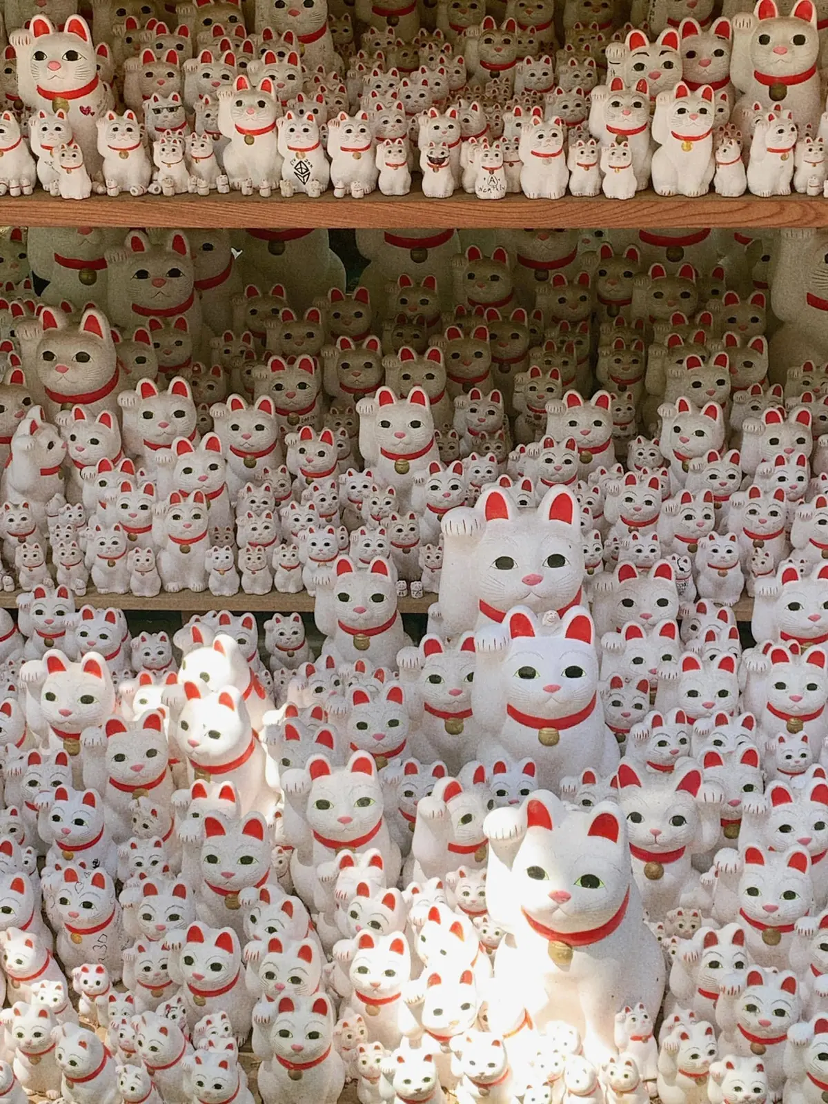 まねき猫の豪徳寺へ。の画像_2