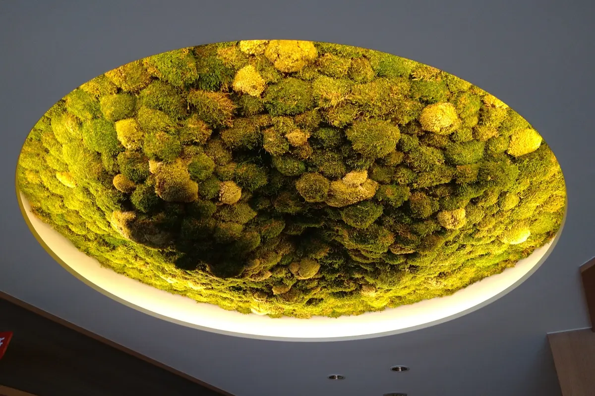 さだ助別邸ICHIJO