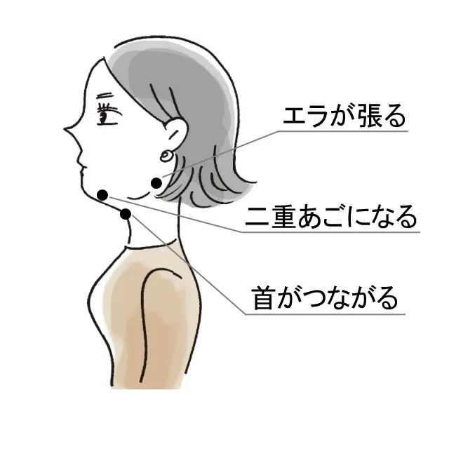 ［ エクラ世代に出現しやすいあごの変化！］