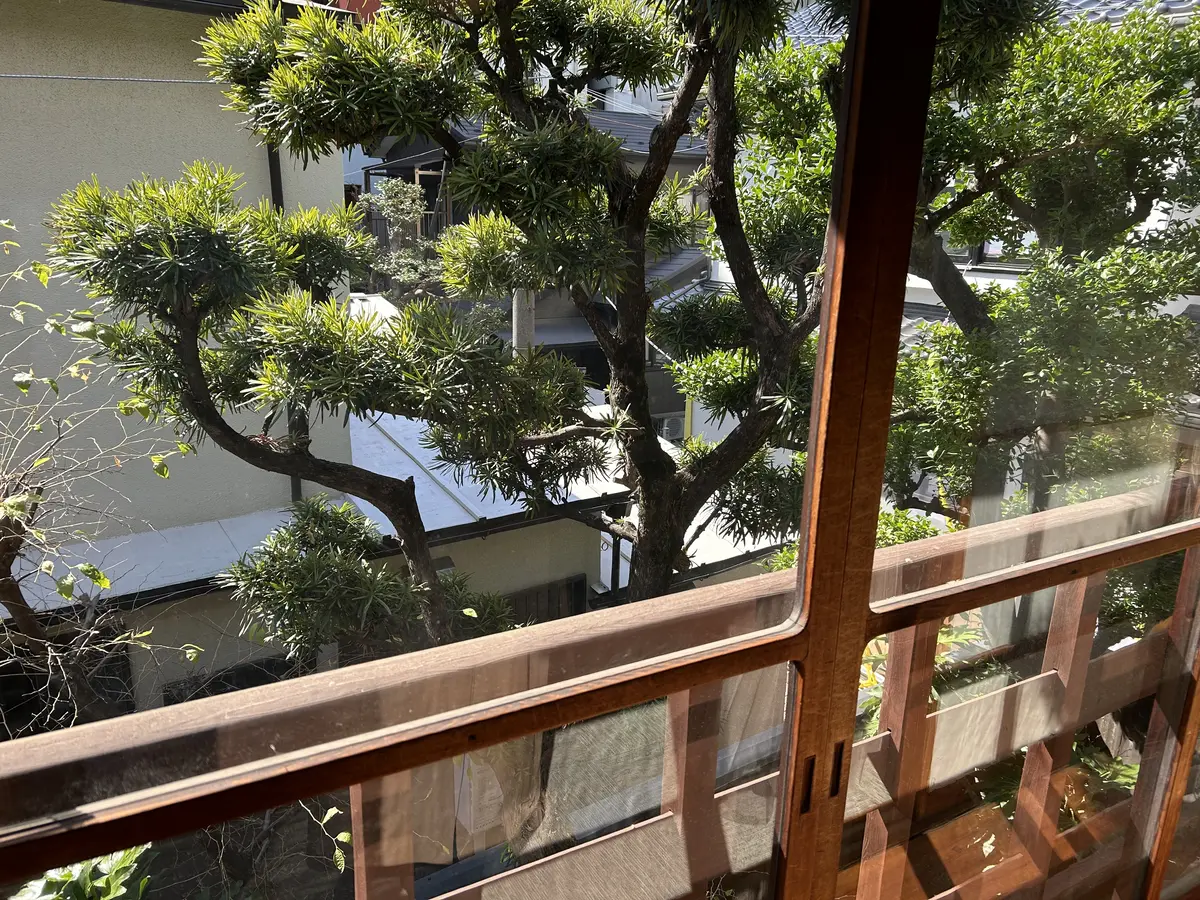 Jマダムで神楽坂フレンチランチ🎵の画像_8