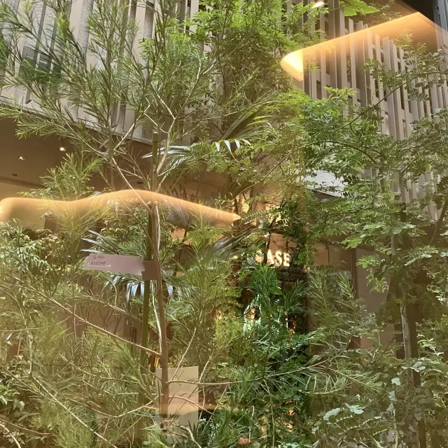 お気に入りパティスリーpaysageの画像_6