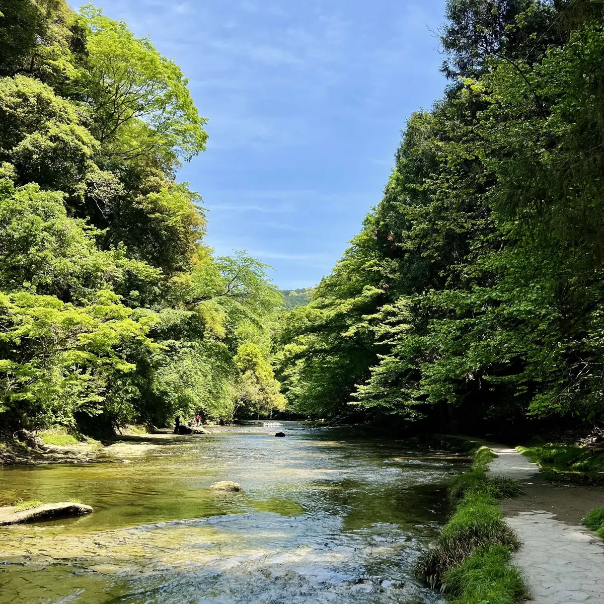 千葉にある「養老渓谷」
