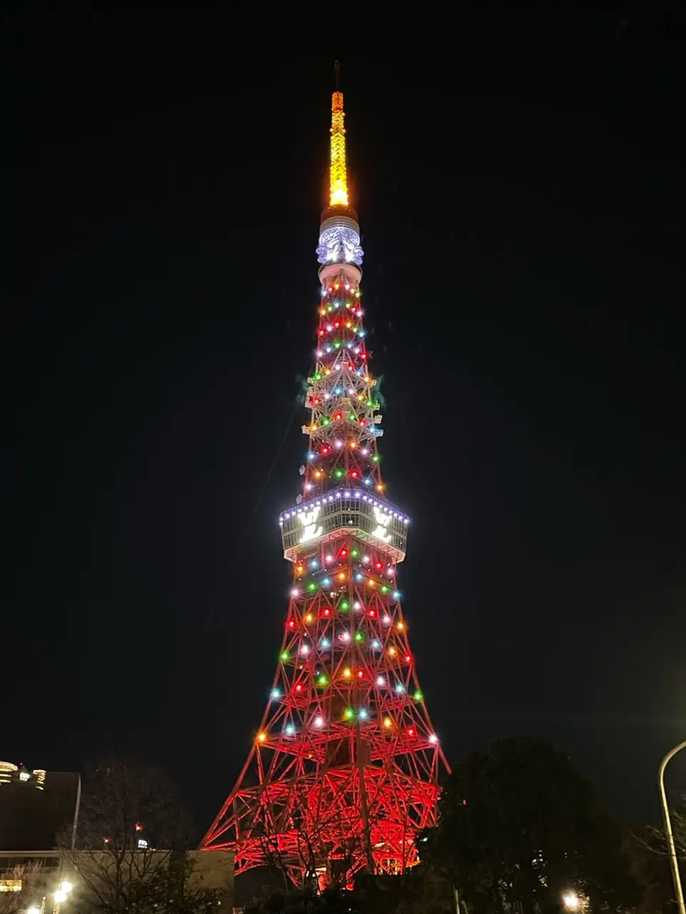 耀くイルミネーションに魅せられての画像_4