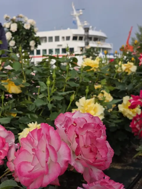サンポート高松のレストランでお食事の画像_5