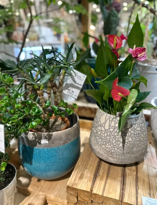 お休みの日の大人ミックススタイル。の画像_4