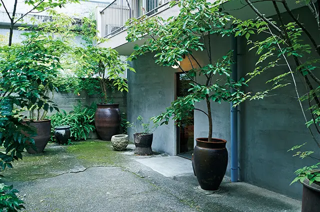 都心とは思え ない、緑が多く静けさを感じる店構え