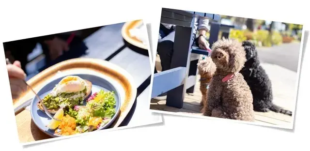 これからのふたり時間、どこにいく？【50の画像_15