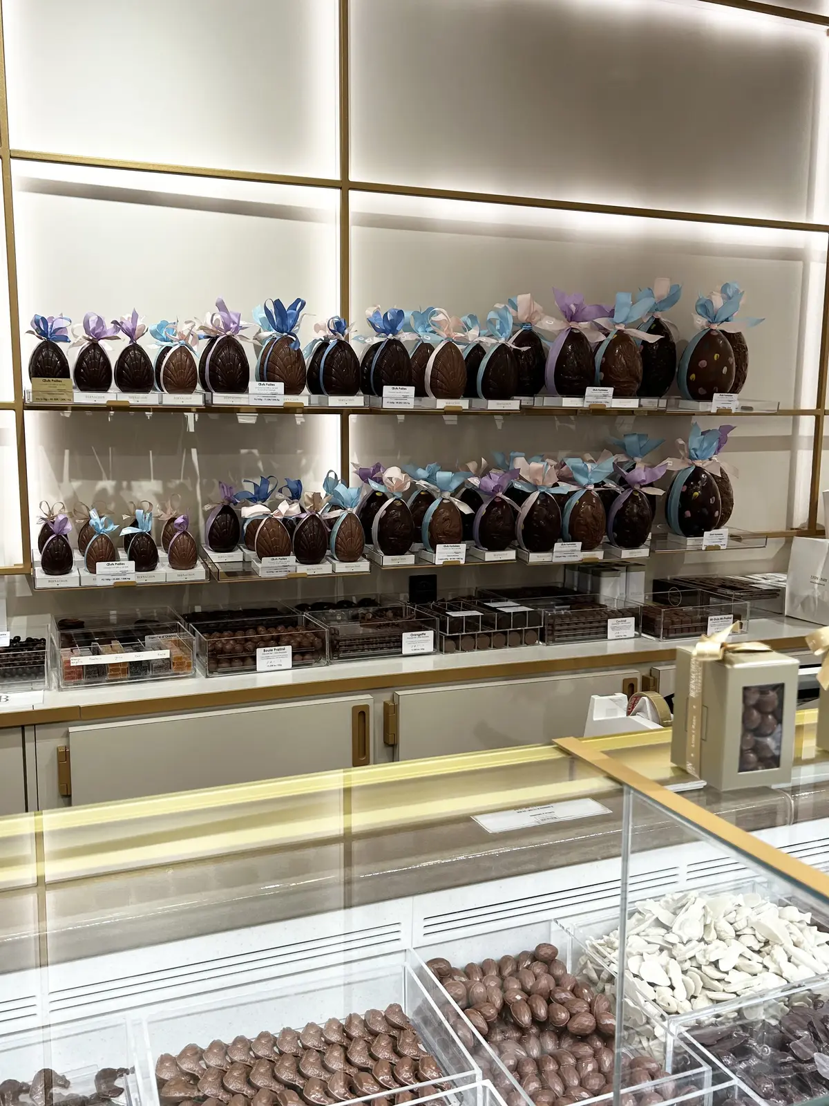 ベルナシオン　パレドール　タブレット