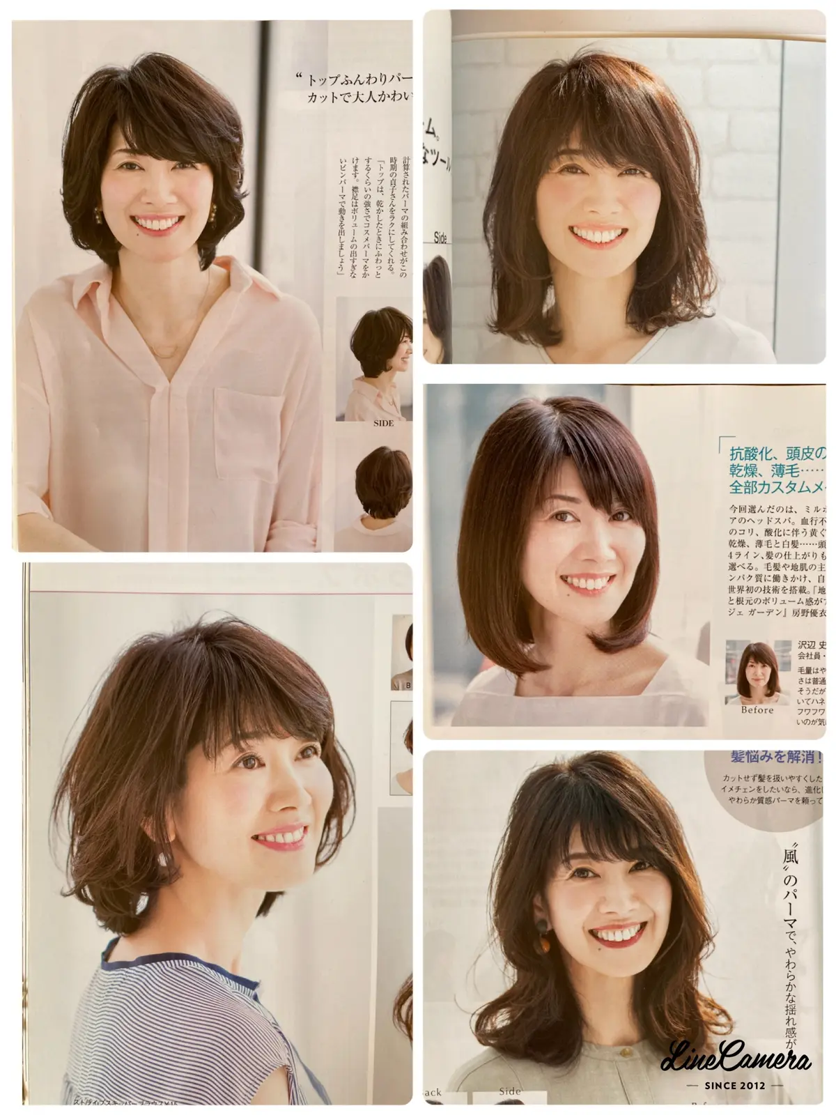 華組 ラストブログ です。の画像_1