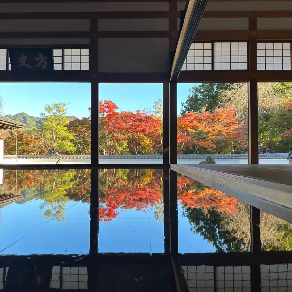 リフレクション　紅葉　もみじ