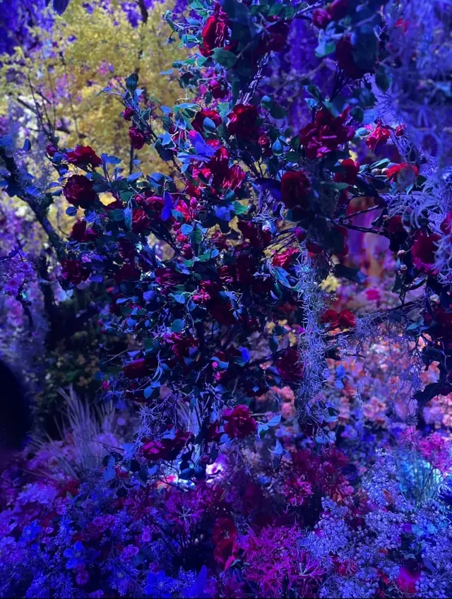 現実から異世界へ、美しくも儚い蜷川実花さの画像_15