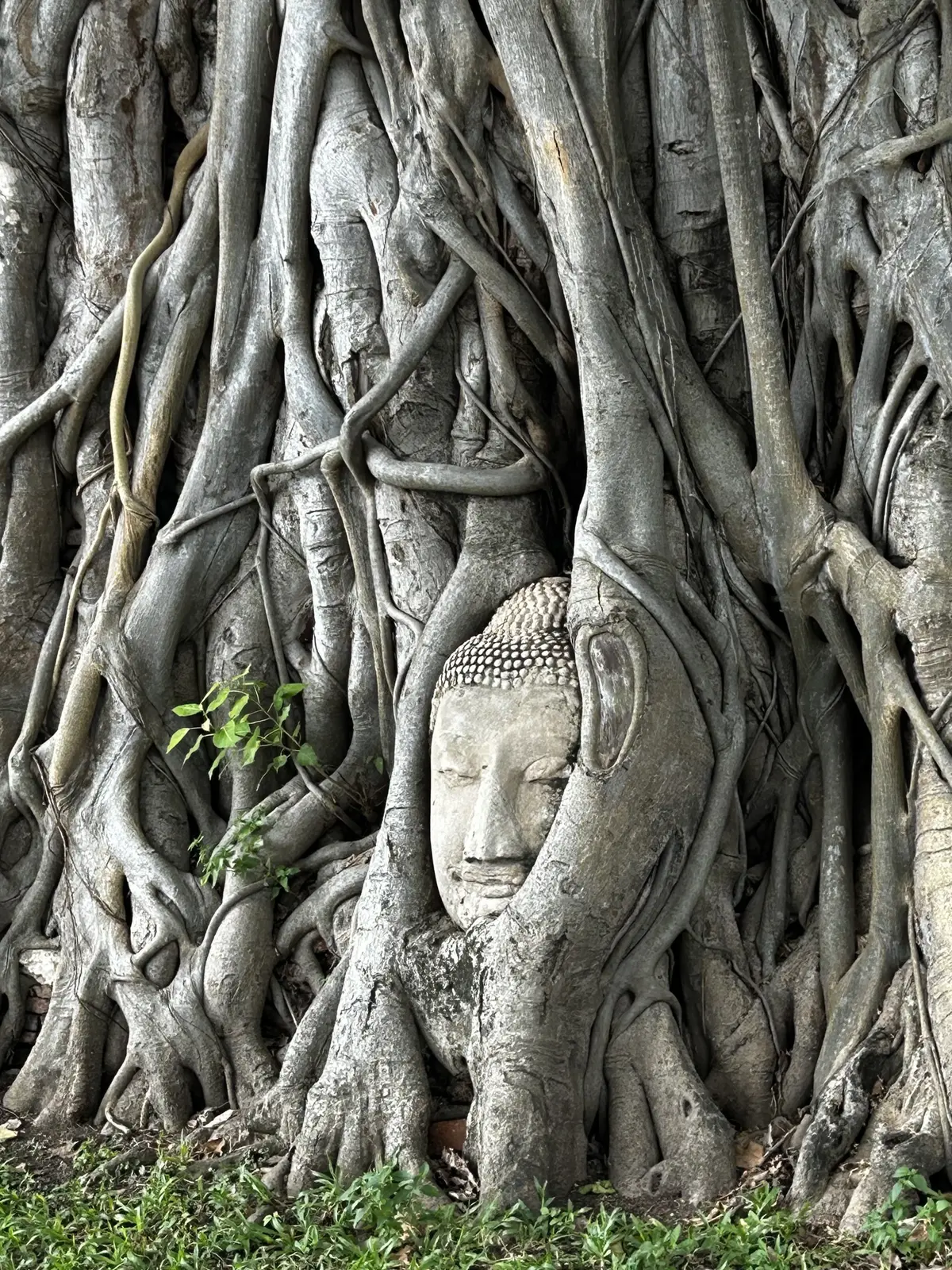 アユタヤ遺跡　行き方　回り方　世界遺産　Ayutthaya 　ซากโบราณสถานอยุธยา
