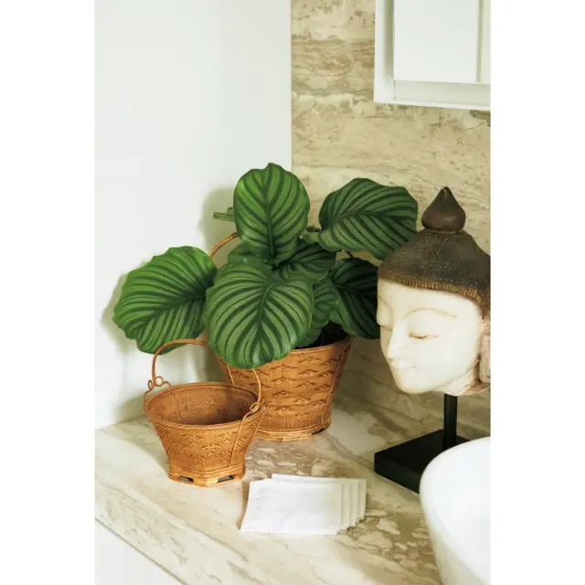 バスルームにはカラテア・オルビフォリアとミャンマーの仏像