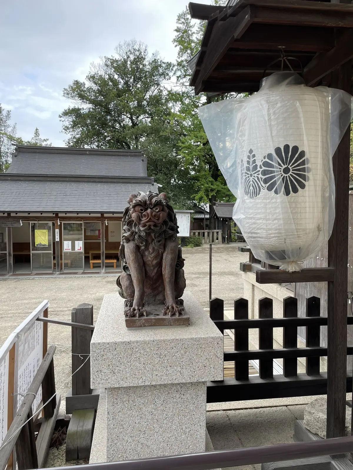 大草直子さんコラボの揺れるワンピースでパの画像_10