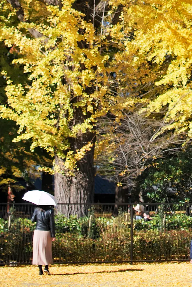 【さかぽんの美術手帖】Picassoとその画像_5