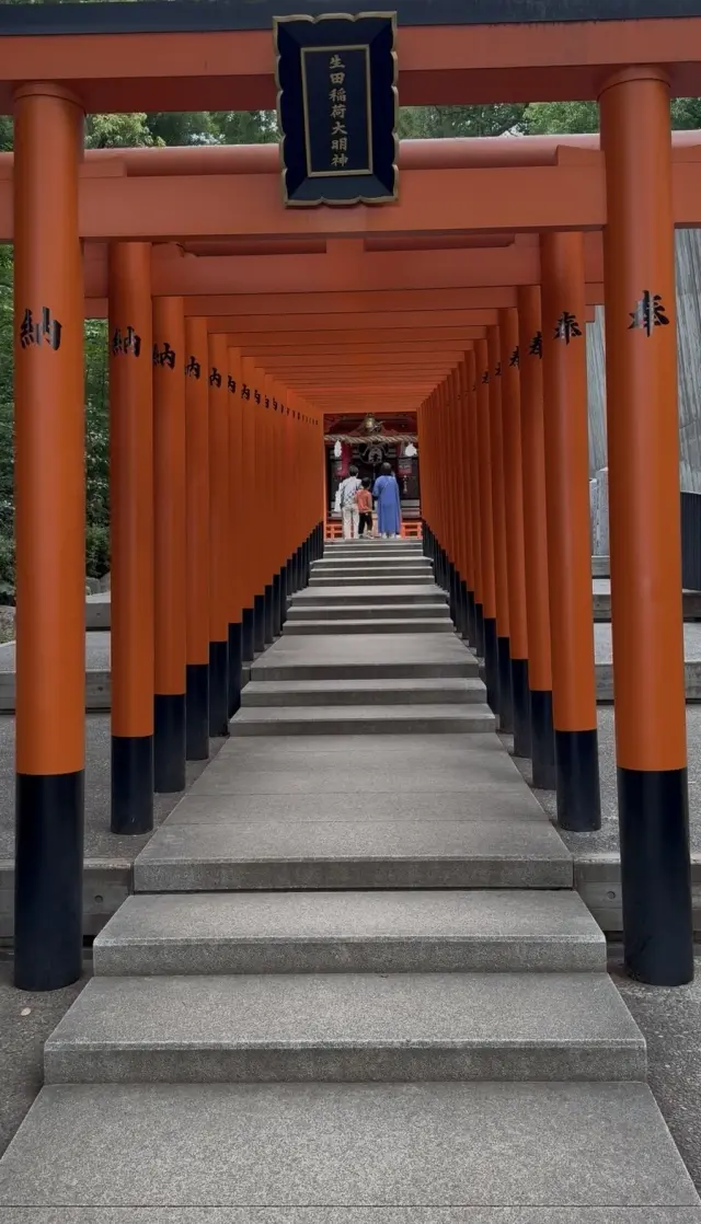 緑に染まる生田の森と赤に染まる生田神社。の画像_6
