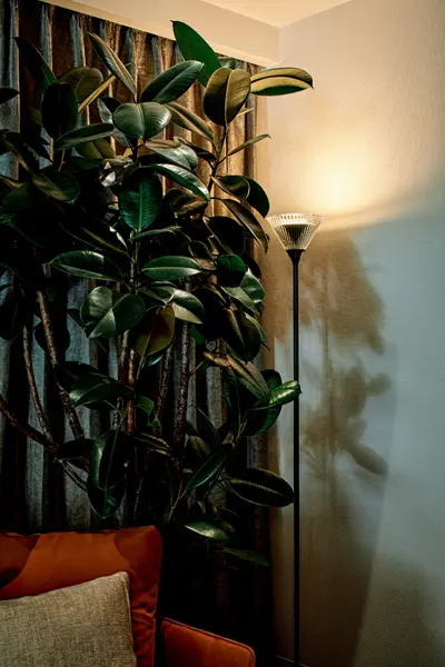 高価なソファを買うより効果絶大！　知っての画像_4