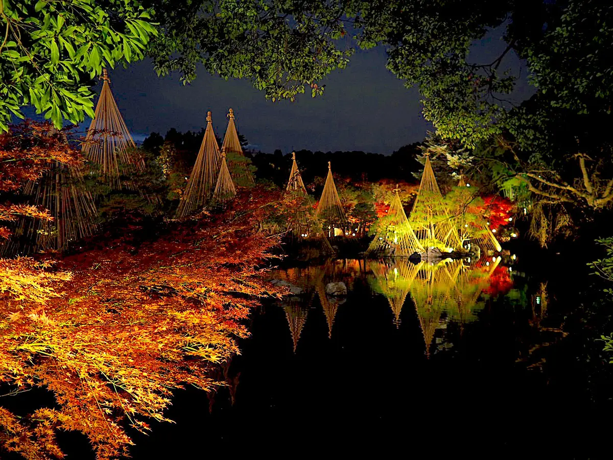 今度は夕暮れから眺める紅葉。