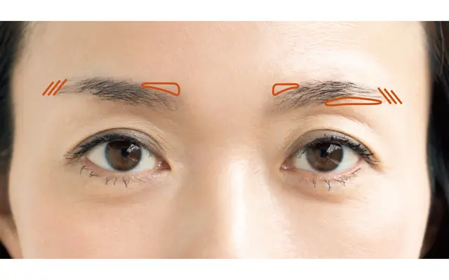 左右非対称眉の設計図