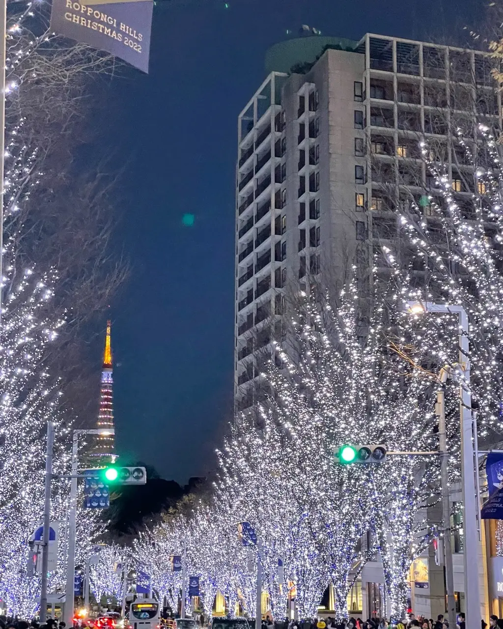 耀くイルミネーションに魅せられての画像_3