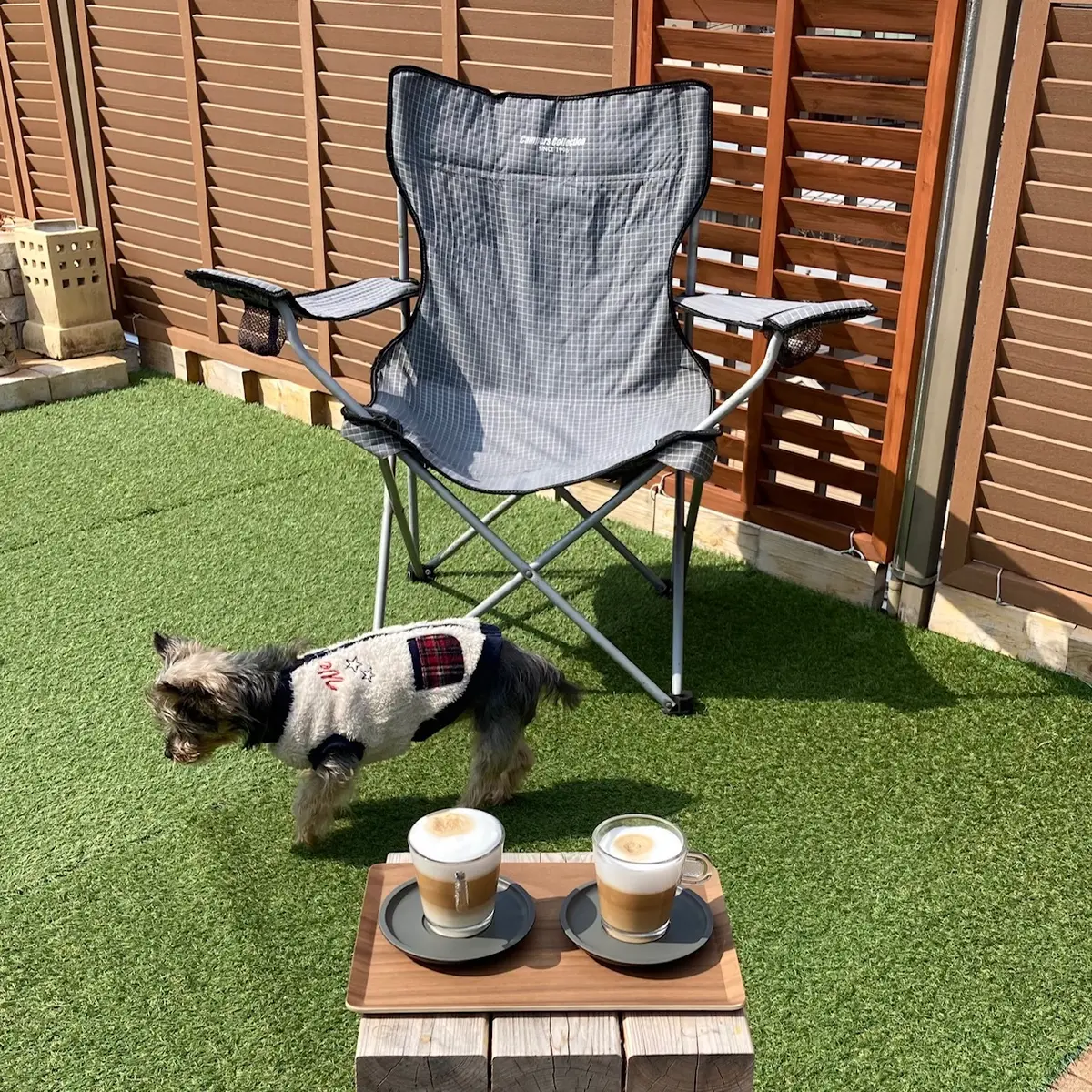 スカイバルコニーを歩く愛犬。