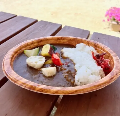 野菜ゴロゴロカレー