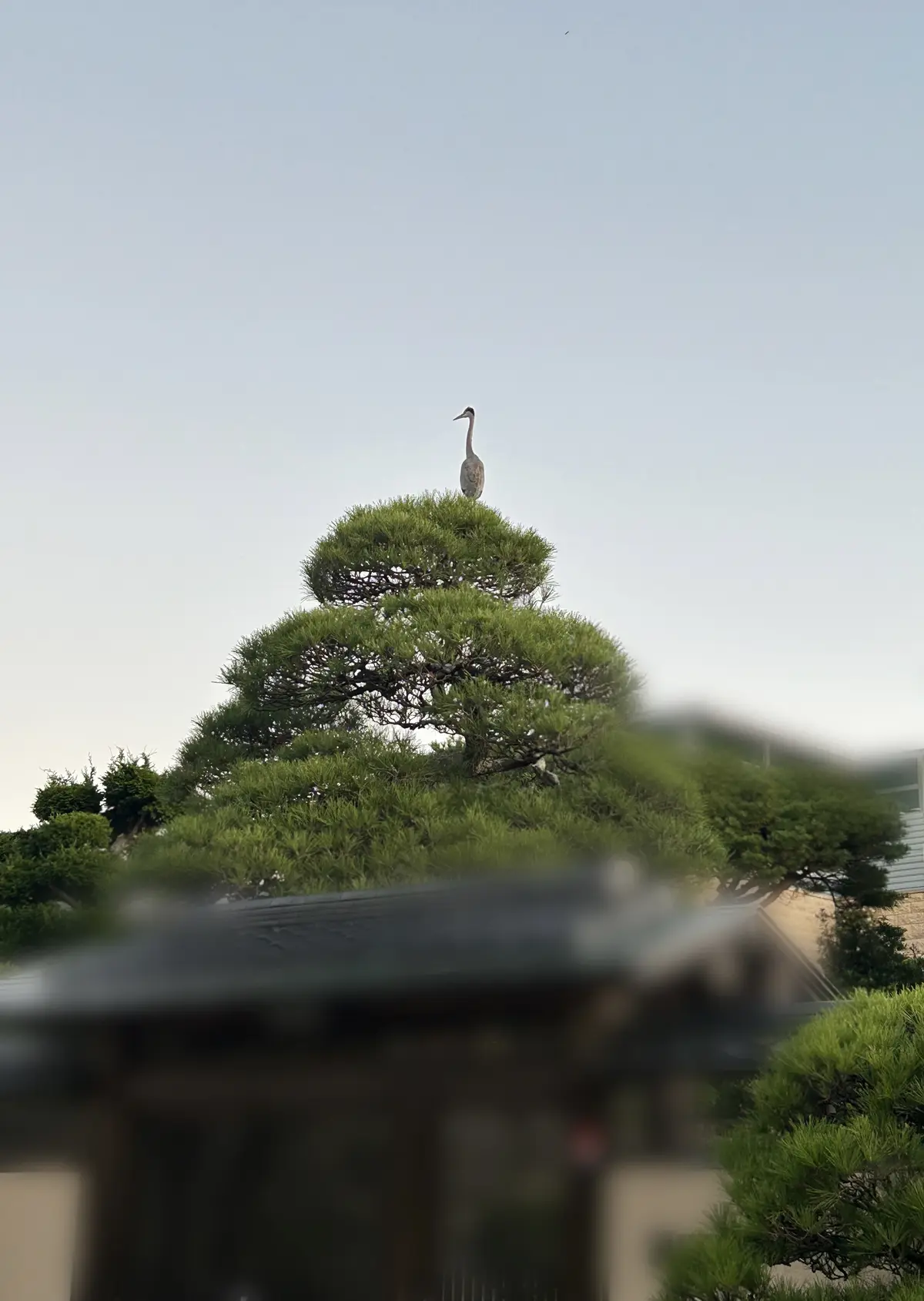 2024朝活アップデート♪の画像_8