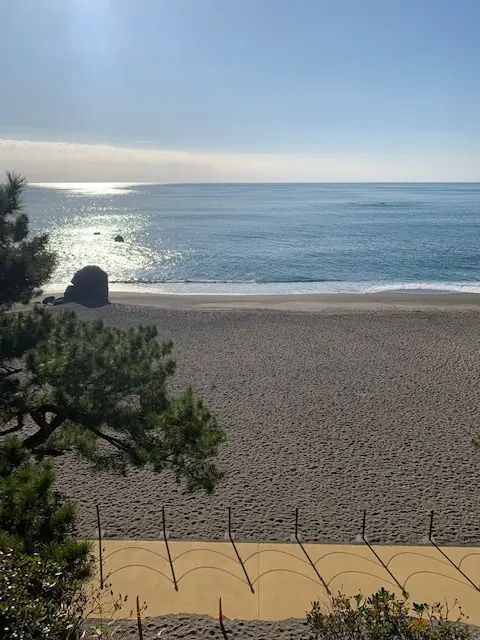 Farewell Blog：今朝の池上梅の画像_9