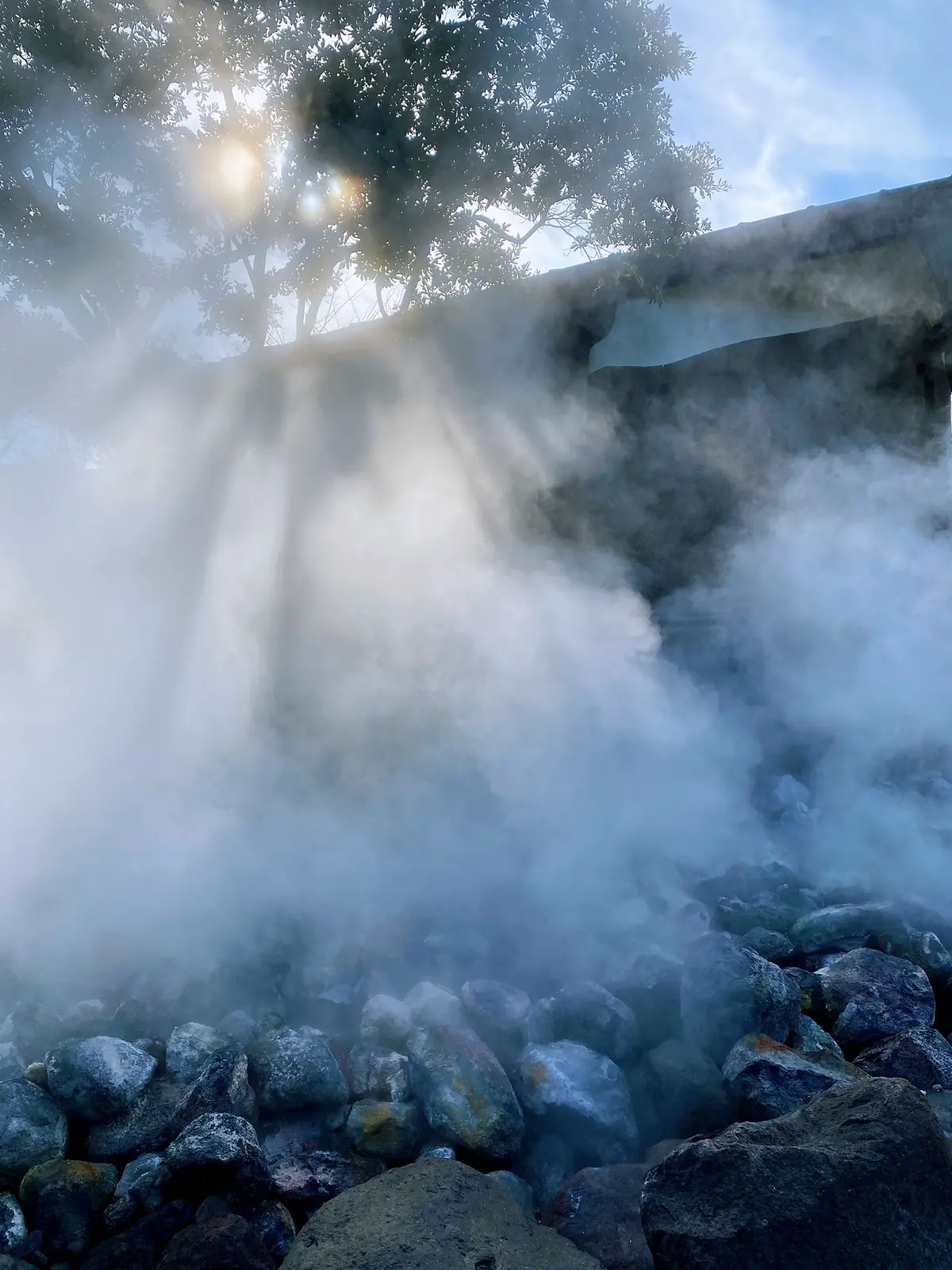 九州旅行へ　〜霧島神社・別府温泉編〜 の画像_11