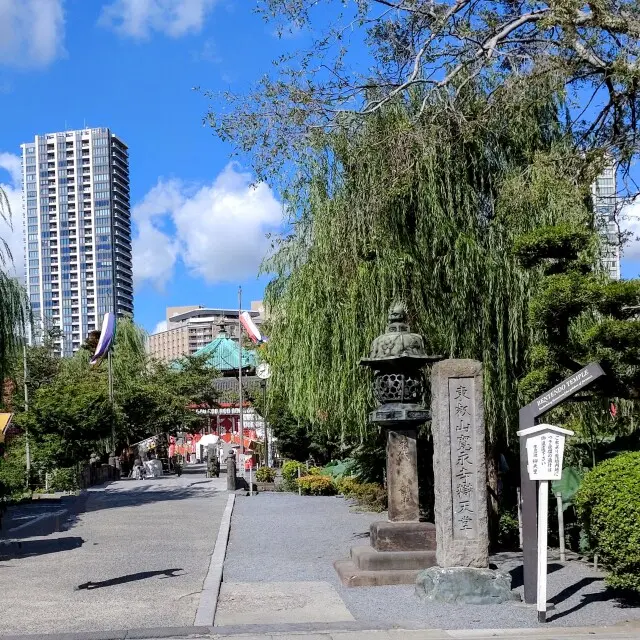 上野恩賜公園　蓮の花　不忍池　辯天堂
